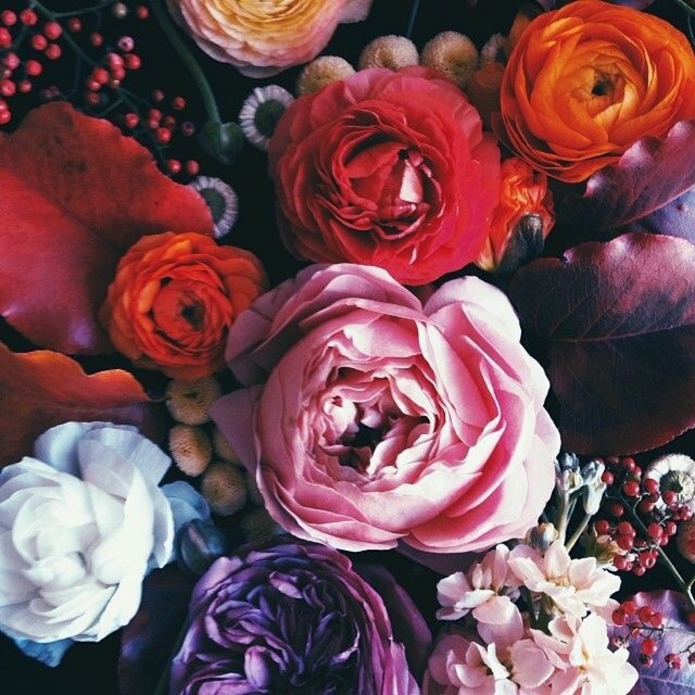 Meet your Posher, DW